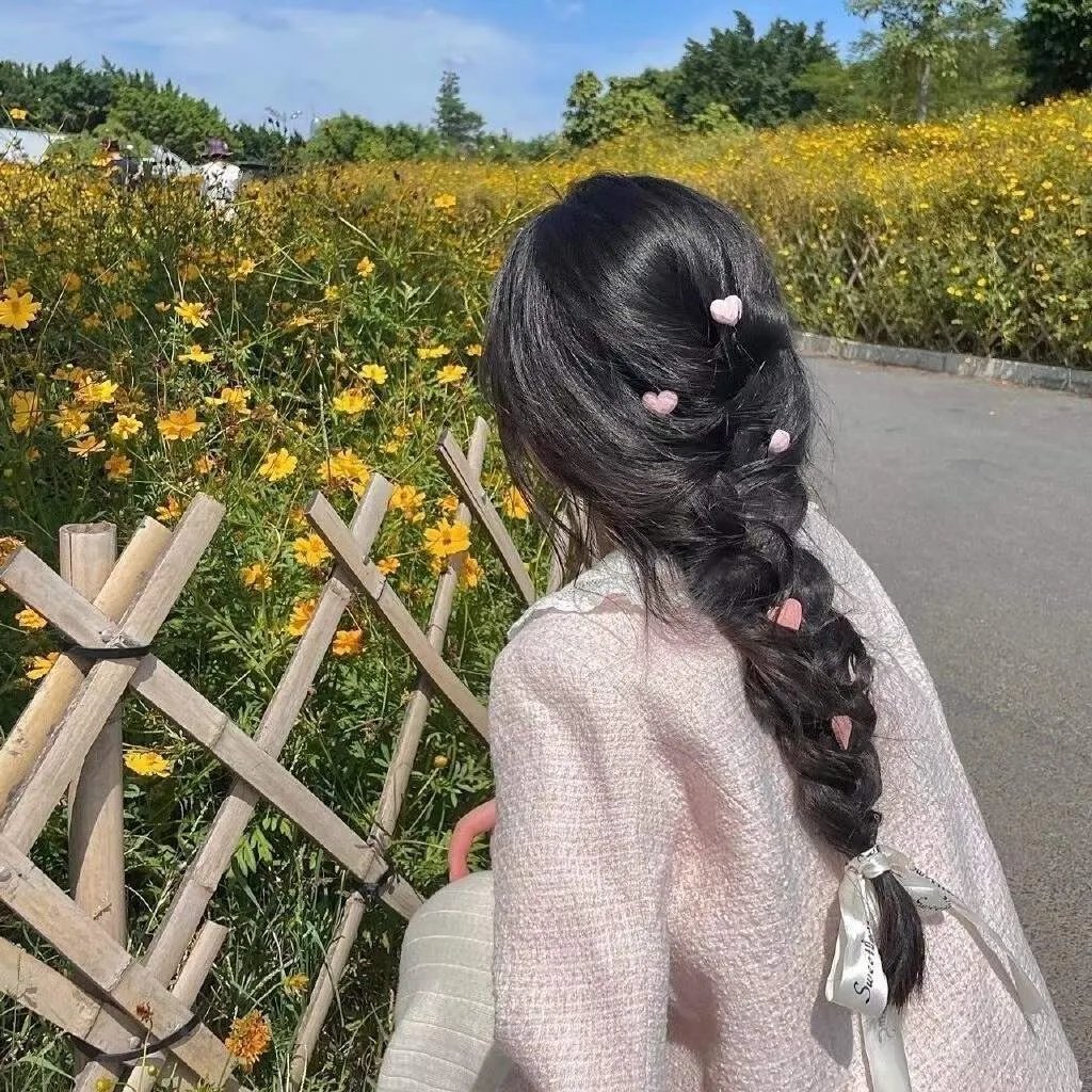 大清盐商